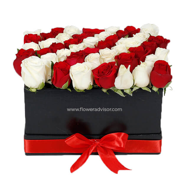 Fusion 22 Red & White From FlowerAdvisor