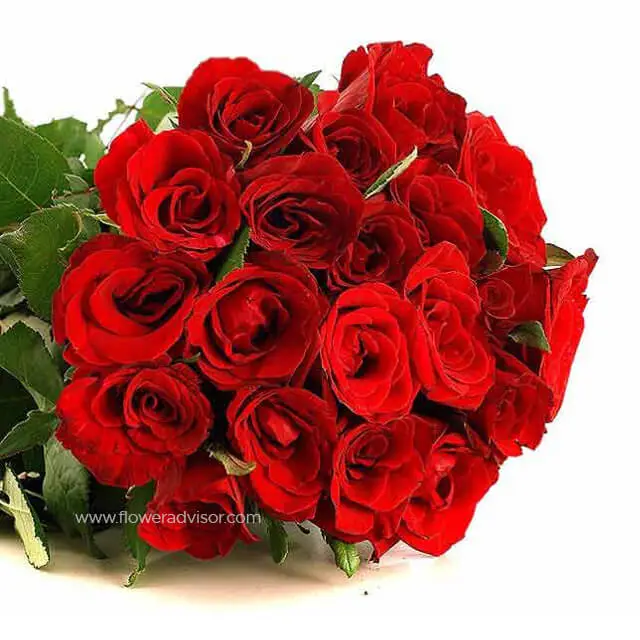 Flower Delivery In Trinidad And Tobago Best Flower Site