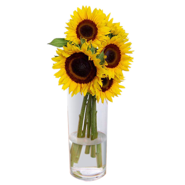 Home Décor Home & Living Sunflower Vase