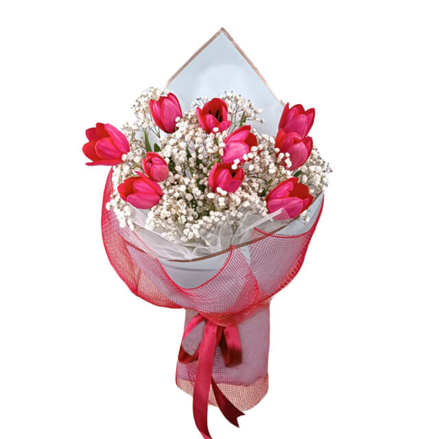Bunga Tulip Merah FlowerAdvisor