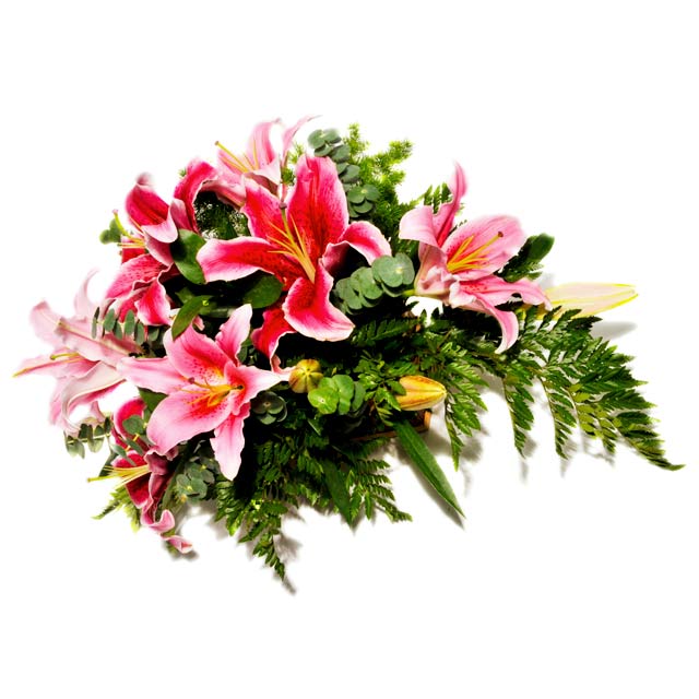 For Lily Sympathy Funeral Flowers Dominican Republic