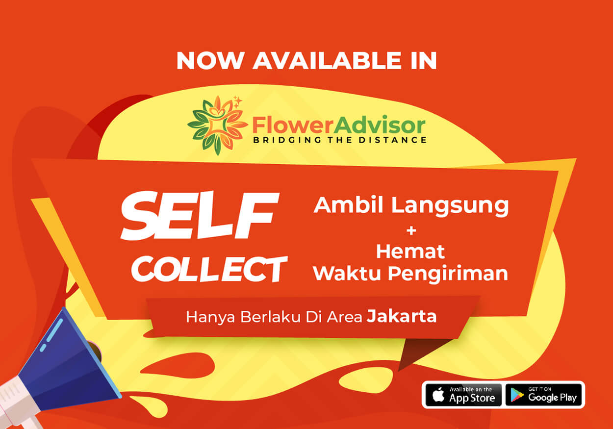 Toko Bunga Online 24 Jam Florist Terlengkap FlowerAdvisor