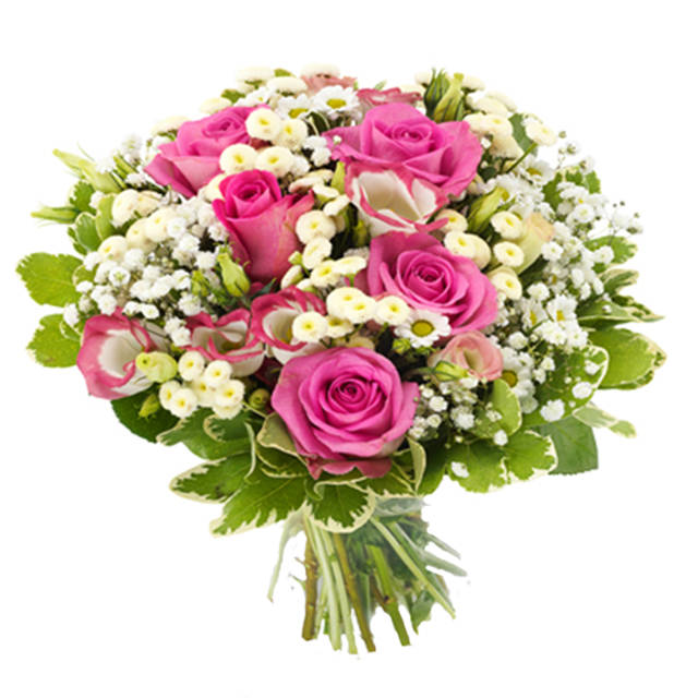 Sleeping Beauty Fa Valentine S Day Romance Germany