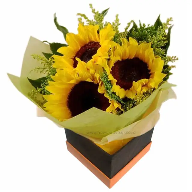 Jual Karangan Buket Bunga Matahari Online Malang