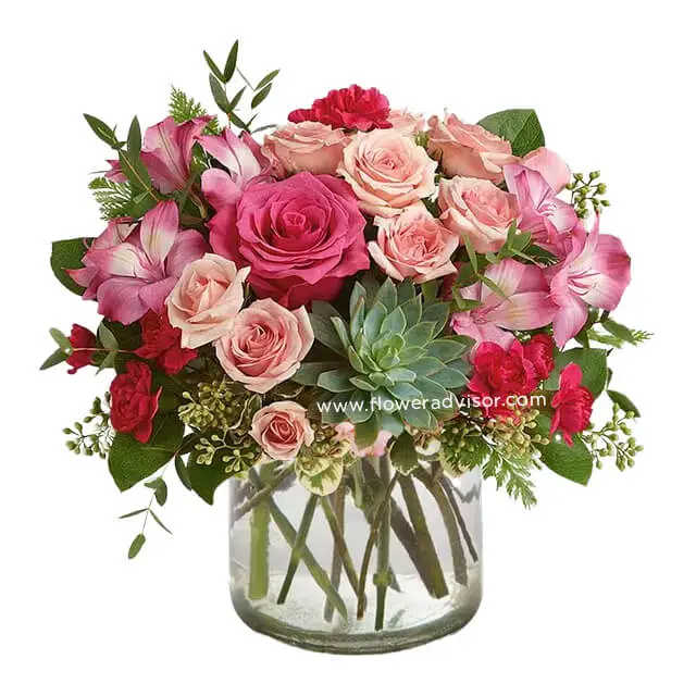 Pink Rose Succulent Garden