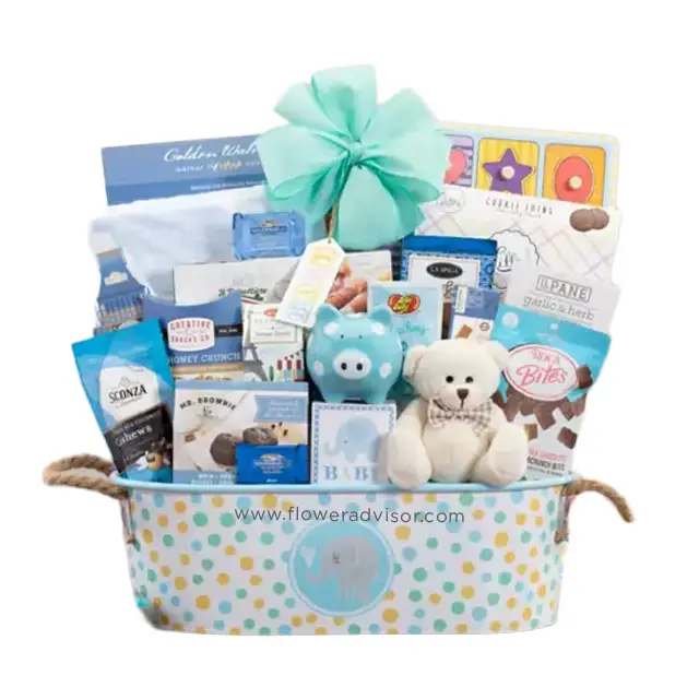 Ultimate Baby Boy Gift Basket